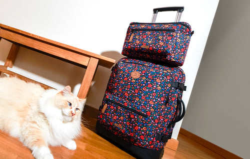 Quelle valise soute choisir pour votre type de voyage ? - Cabaia