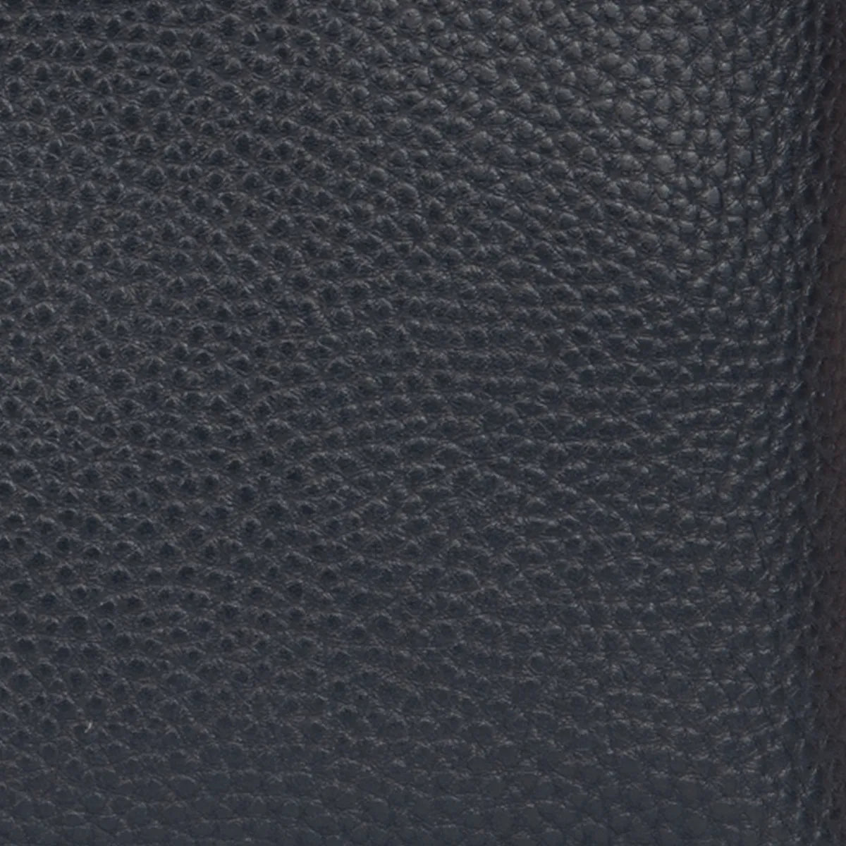 Pochette avant medium Fontainebleau Castle - Cabaia - 