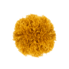 pompon-mustard