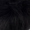 pompon-black-fur